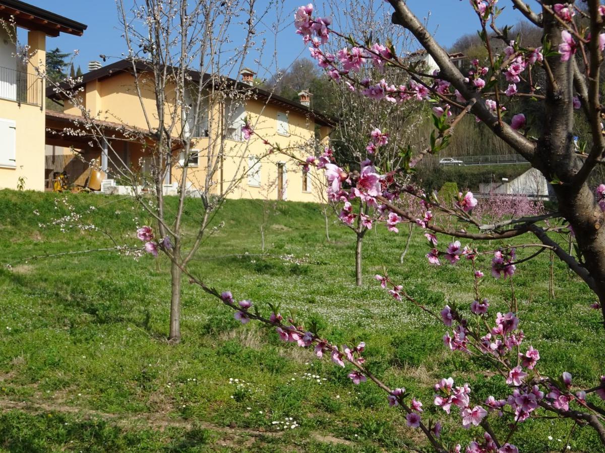 Apartmán Cascina Legnago Trilocale A 6 Chilometri Da Salo' Villanuova sul clisi Exteriér fotografie