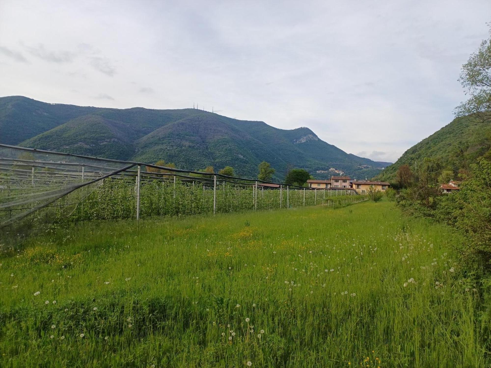 Apartmán Cascina Legnago Trilocale A 6 Chilometri Da Salo' Villanuova sul clisi Exteriér fotografie
